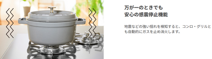 Paloma パロマ  ビルトインコンロ　AVANCE（アバンセ）PD-293WT-U60GQ