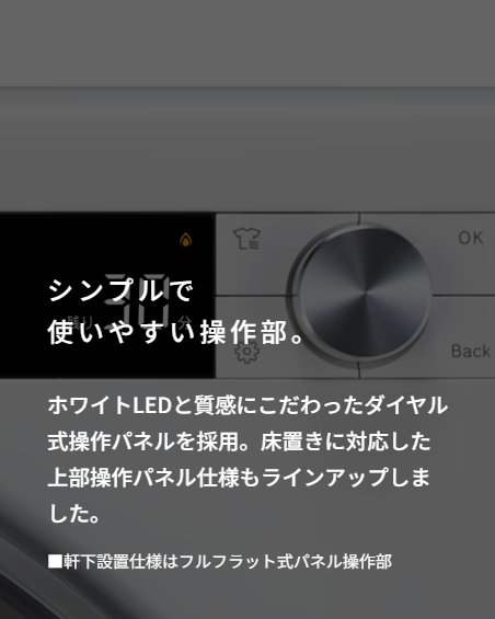 Rinnai リンナイ RDT-63 (22-4453) ガス衣類乾燥機 『乾太くん』 6Kg